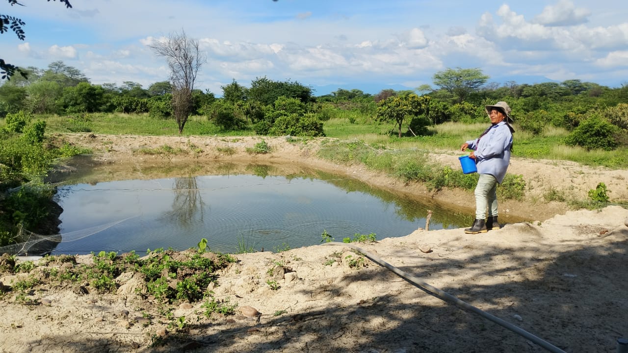 Socia alimentando peces en estanque acuícola